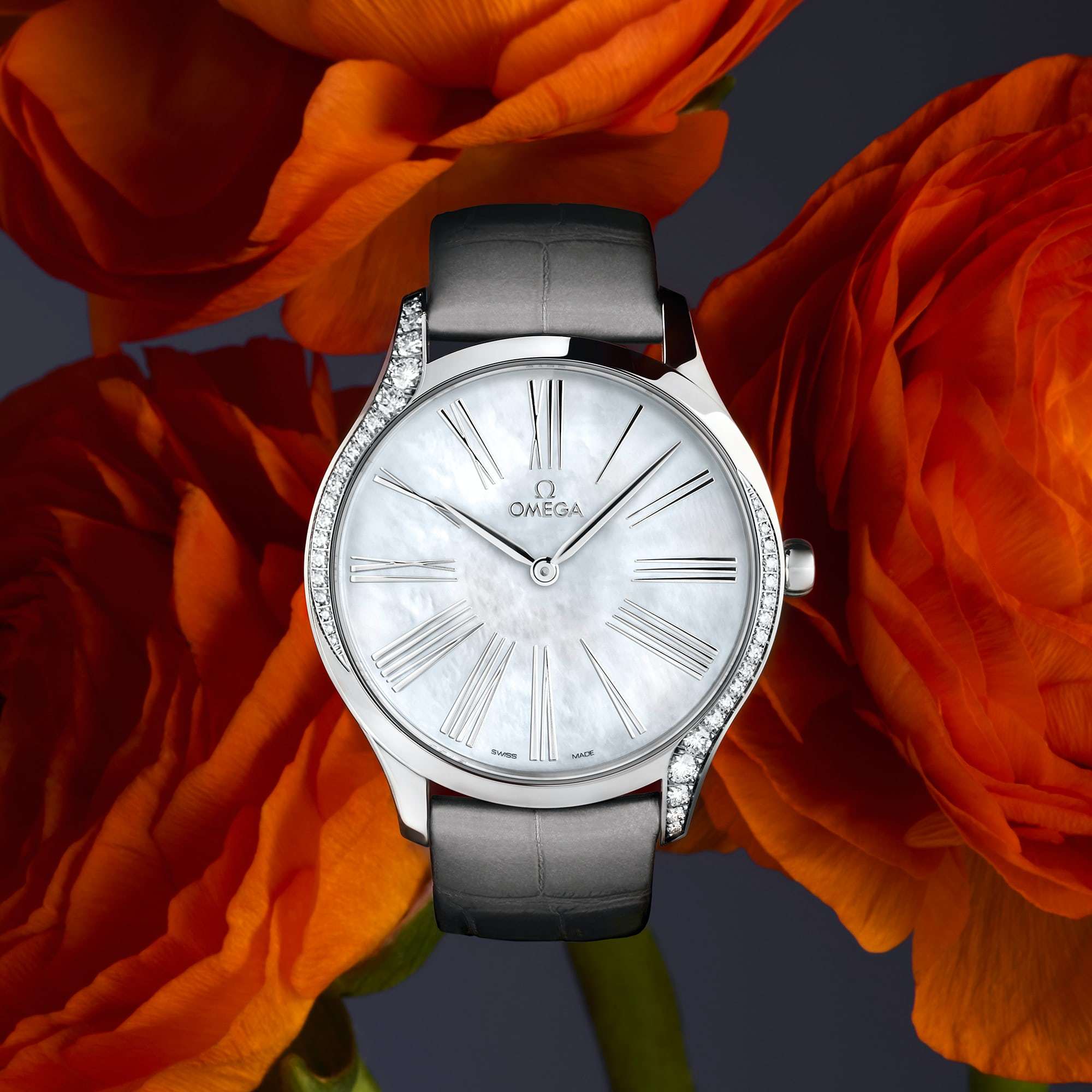 巨星嘴炮康纳,mma搏击巨星嘴炮康纳