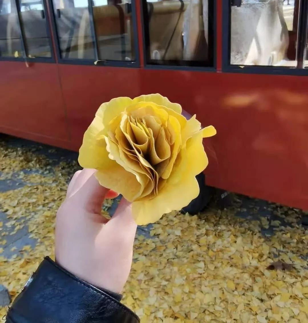 银杏叶咋做玫瑰花,银杏叶怎么做玫瑰花