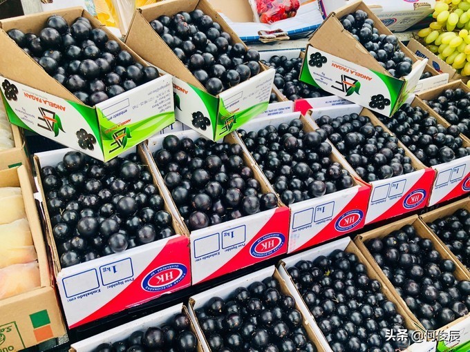 巴西为什么是足球王国,巴西为什么称为足球王国