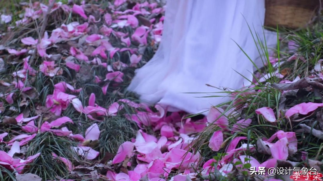 李子柒生活大揭秘,多少人羡慕李子柒的生活