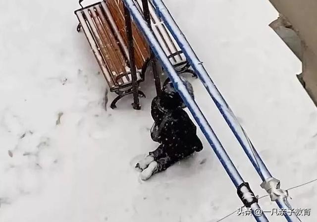 杨烁回应父母对孩子的暴力,杨烁严父