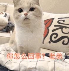 怎样享受生活快乐,怎样享受生活的快乐