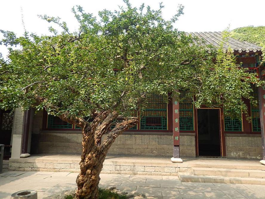 石榴的文化,石榴文化的意义