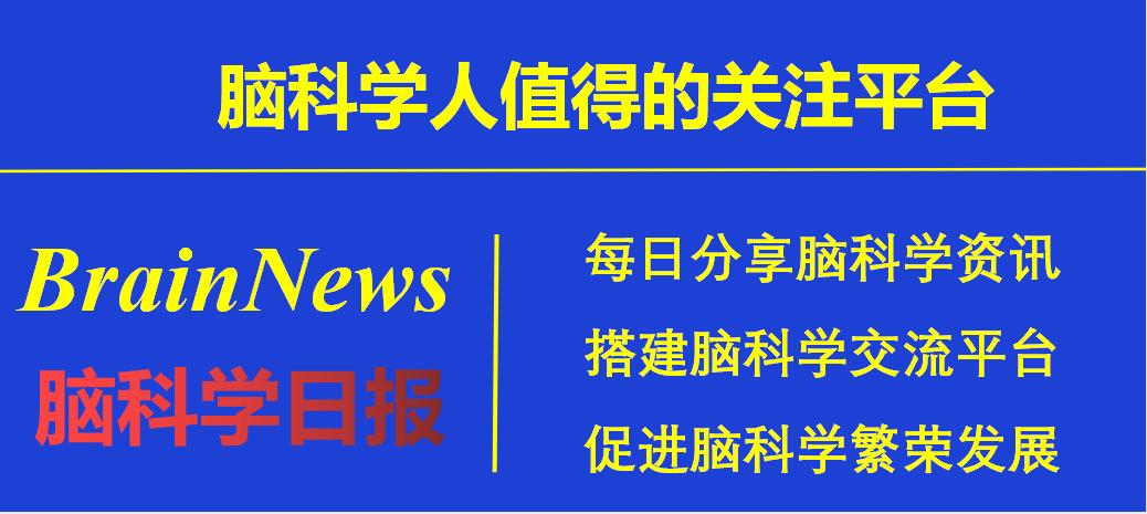 连发两篇！中科大张智组在疼痛—抑郁的神经环路方面取得重要进展