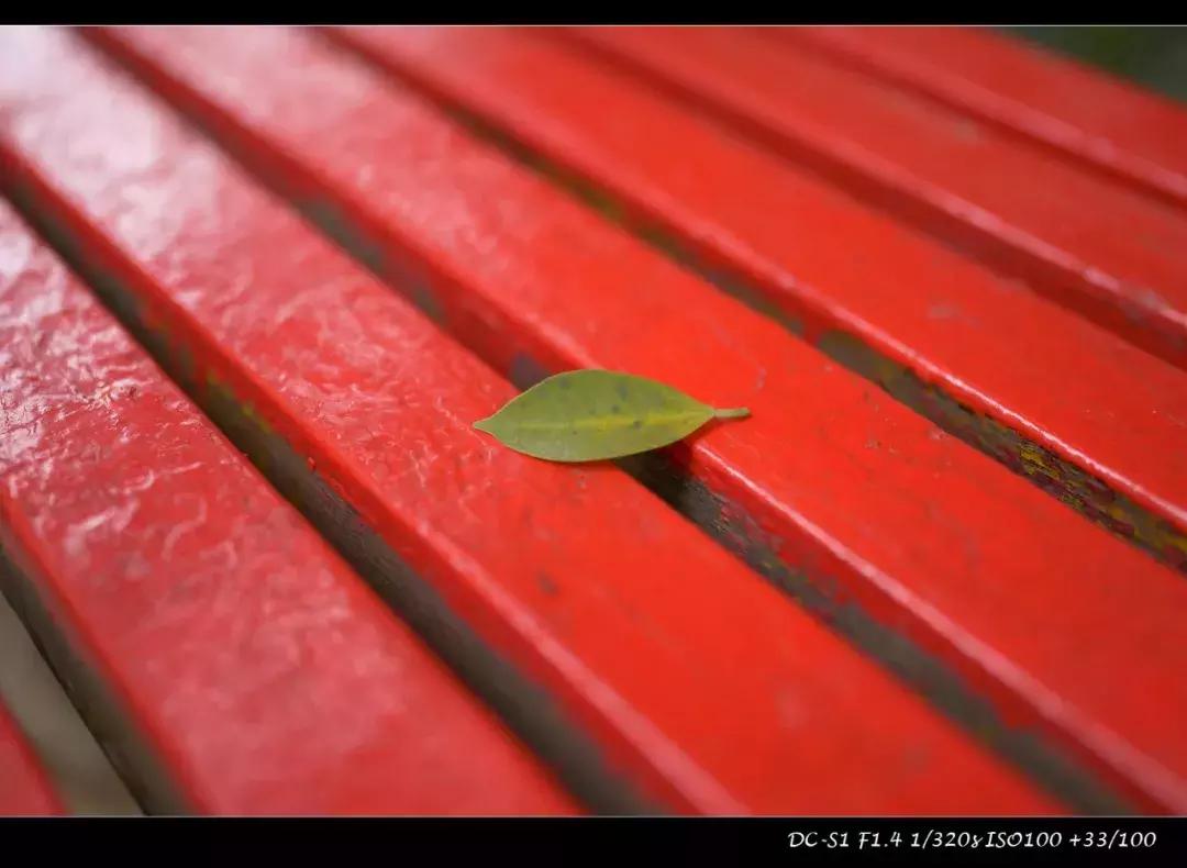 适马mc21转接环怎么样,适马mc21转接环升级教程