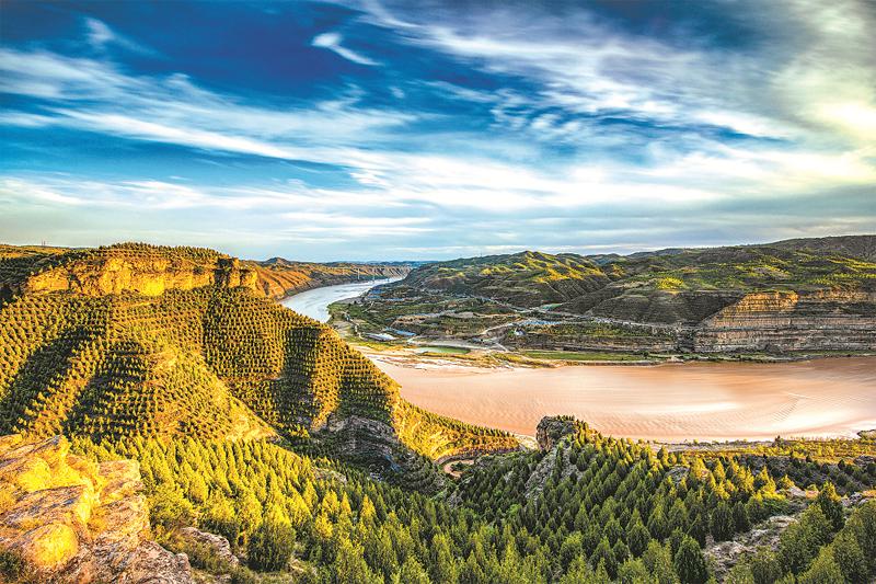 中国三北植树造林,中国植树造林工程