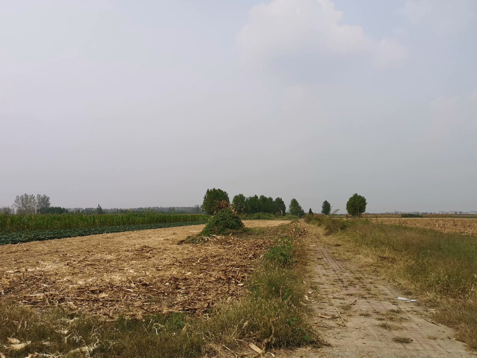 俞伯牙墓为什么在固镇,俞伯牙墓出土