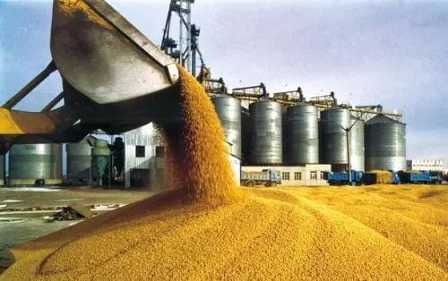 卖粮别被骗,卖粮被骗了怎么办