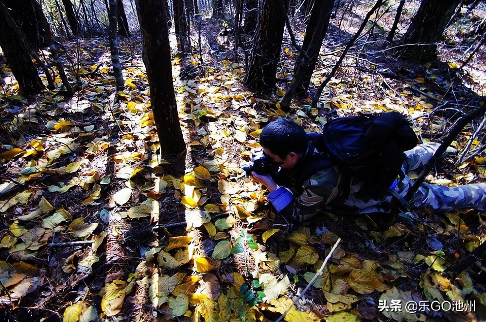牯牛降儿童怎么玩,石台牯牛降风景区