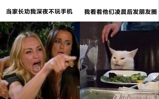 那些很奇葩的歌,盘点这些年奇葩的歌名