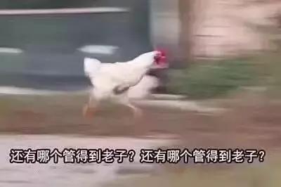 tomfordparadiso价格,tomford珍贵香型