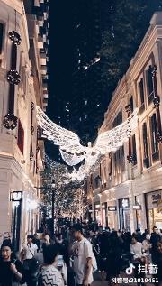 香港海滨长廊圣诞节,香港圣诞打卡地唯美视频