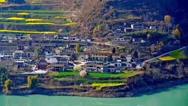 赏油菜花攻略,寻找最美油菜花可去这十大景点