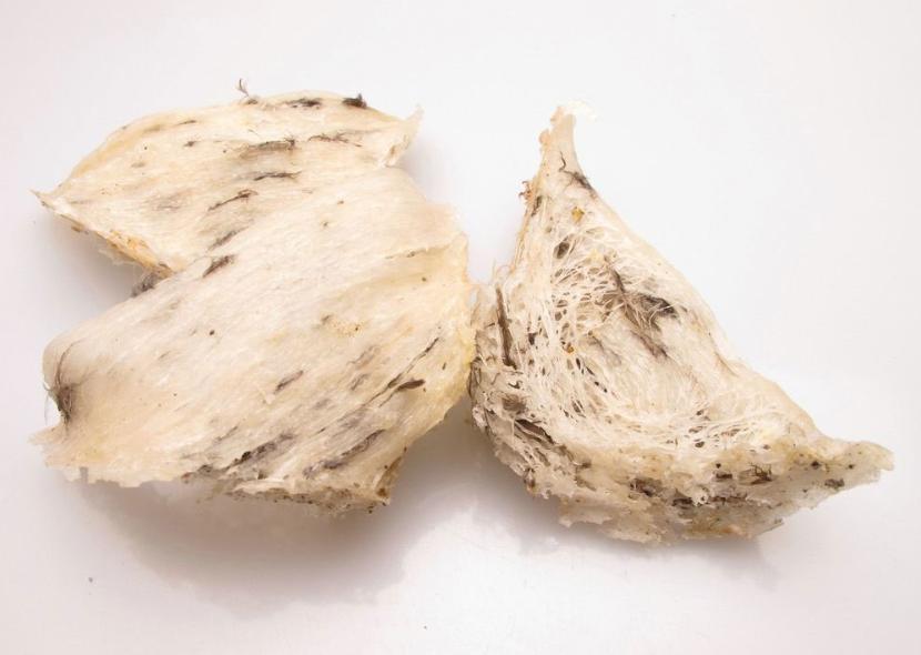 燕窝碎发霉变黄怎么处理,燕窝发霉
