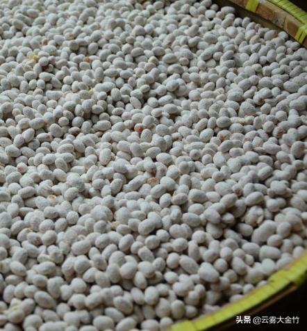 家庭自酿黄豆酱（酱油）-感受食品发酵的神奇