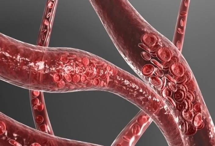 科学养育胎儿,科学孕育新生命护佑母婴安全健康