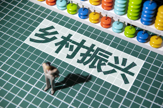 返乡创业乡村振兴的成功感言,年轻人放弃打工回农村种地