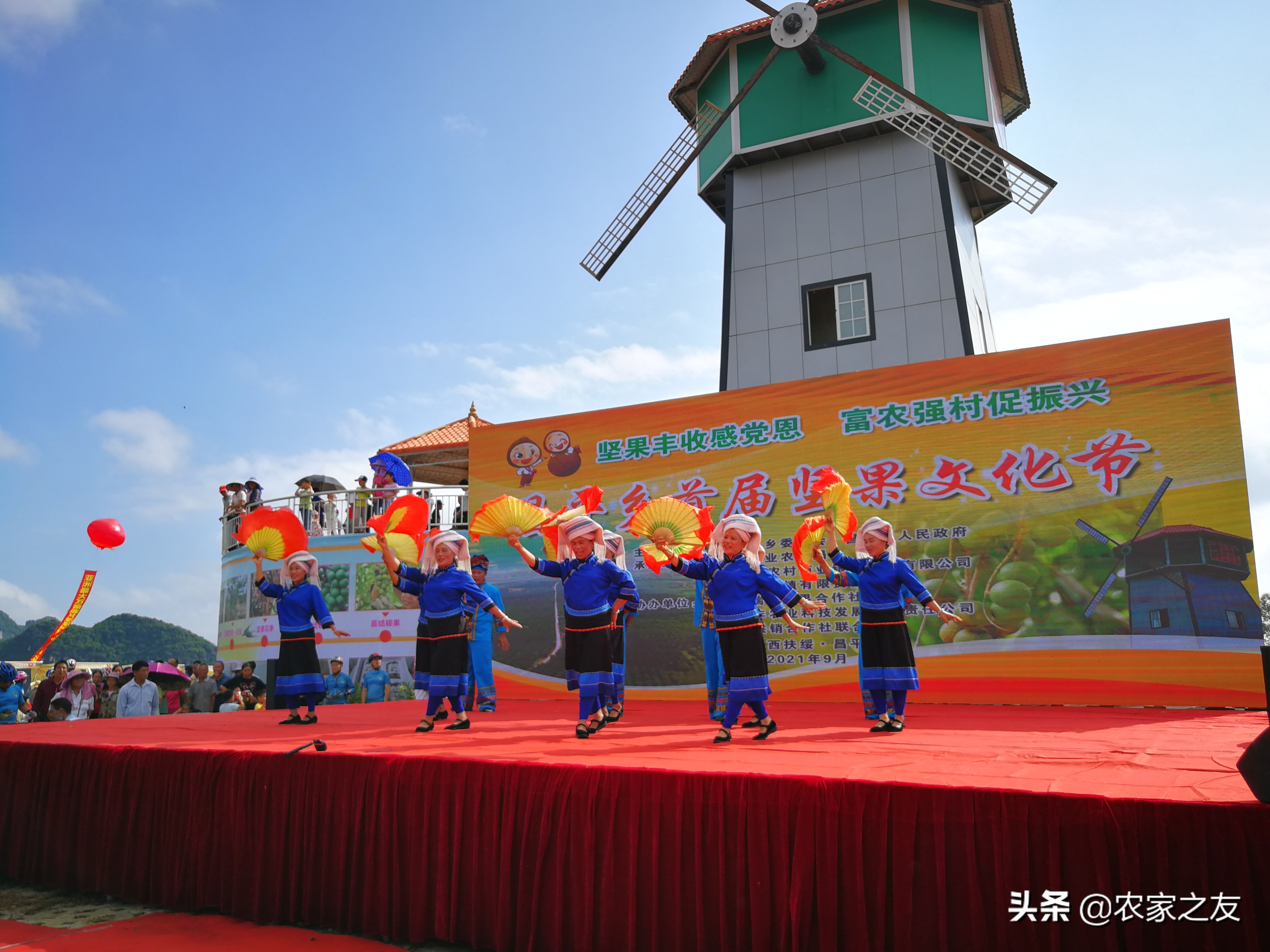 扶绥县昌平坚果苗,扶绥昌平坚果种植基地