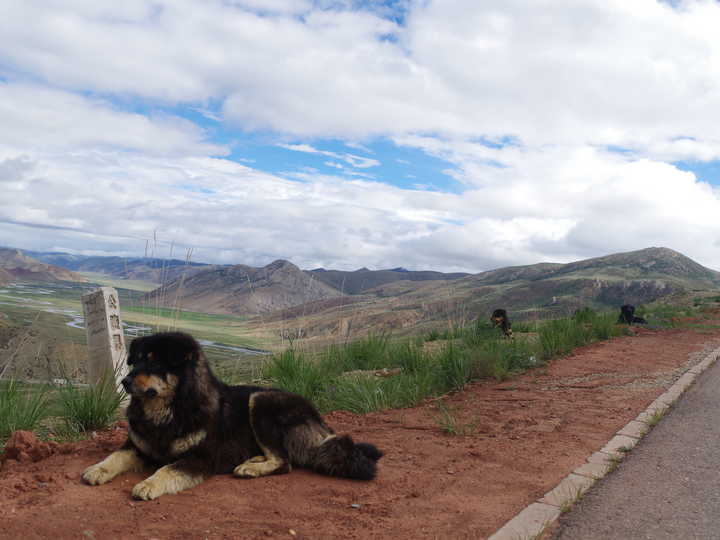 王小花的全部作品,王小花攻略