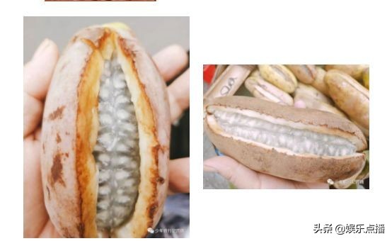 小明星美丽苗乡之旅，体验郭公坪风土人情，触发70.80.90儿时记忆