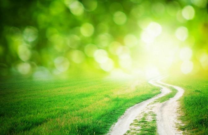 杞﹁浇dj闊充箰cd,杞﹁浇cd鍏夌洏鍔茬垎dj