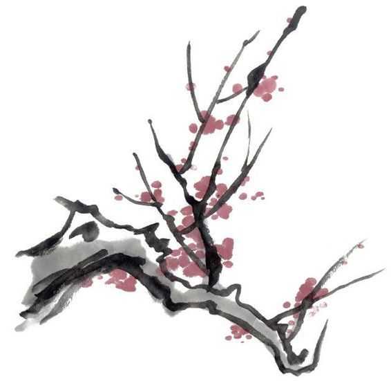 国画梅花上的雪画法步骤教程视频,零基础国画入门画梅花教程