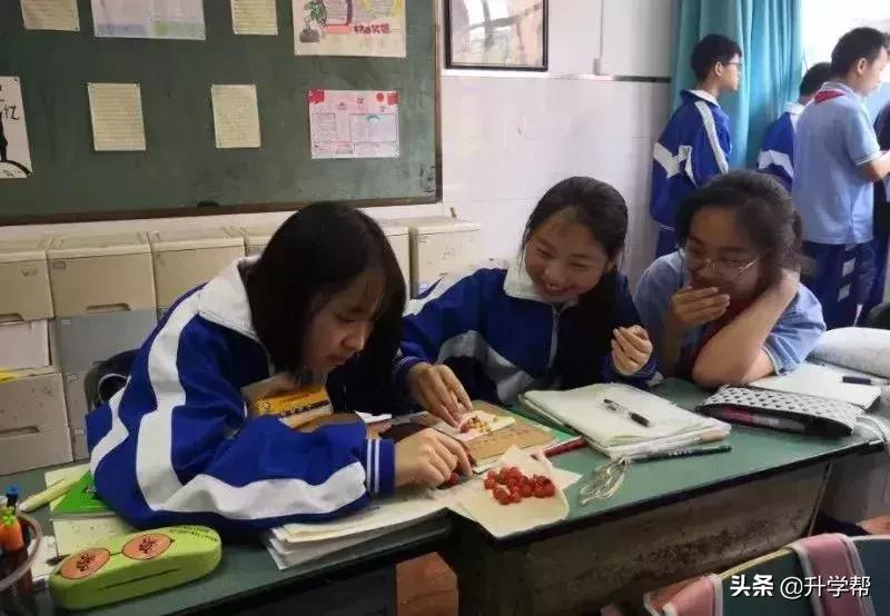 恩桃儿的视频,恩桃儿红了