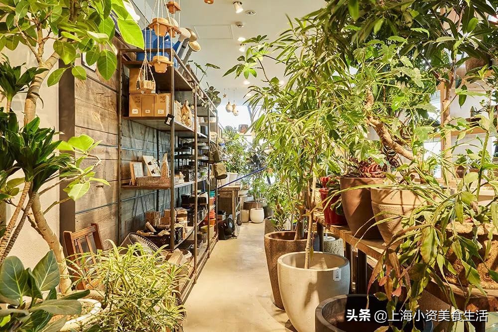 叫板MUJI！日本潮牌nikoand...全球超大旗舰店来魔都了