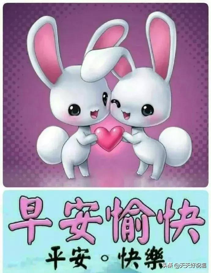 最新晨光早安问候语,清新的阳光早安心语