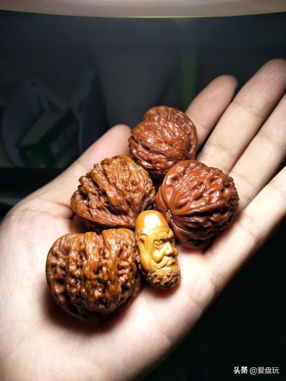 金刚菩提上完橄榄油以后怎么办,金刚菩提下完水发白了