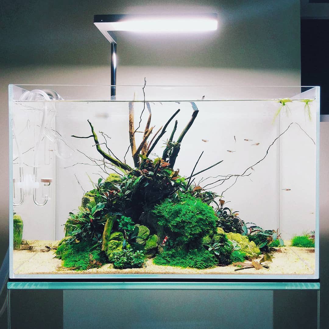 关于过滤的知识,过滤的方法和注意事项