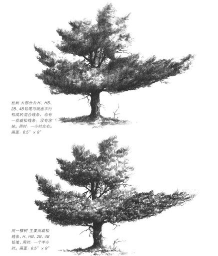 外国艺术家看中国水墨画,外国艺术家看中国画
