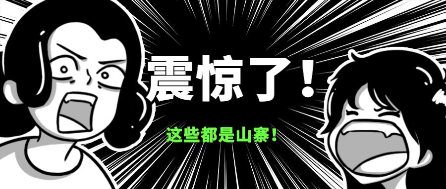 厨卫电器中的山寨品牌,山寨厨卫哪个牌子好