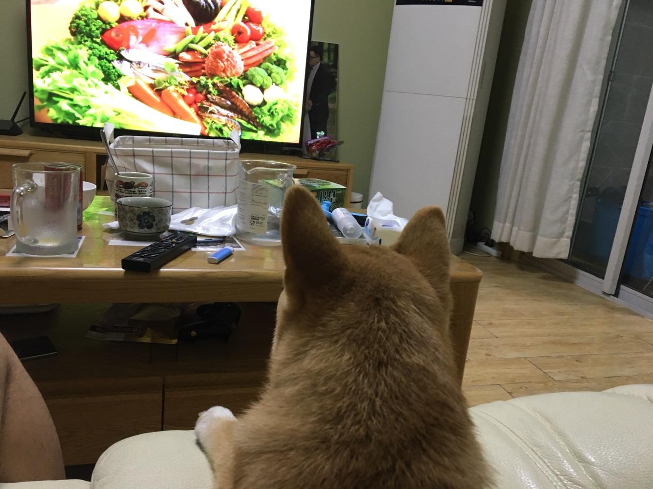 打雷怎么安慰狗狗,打雷狗狗害怕躲起来