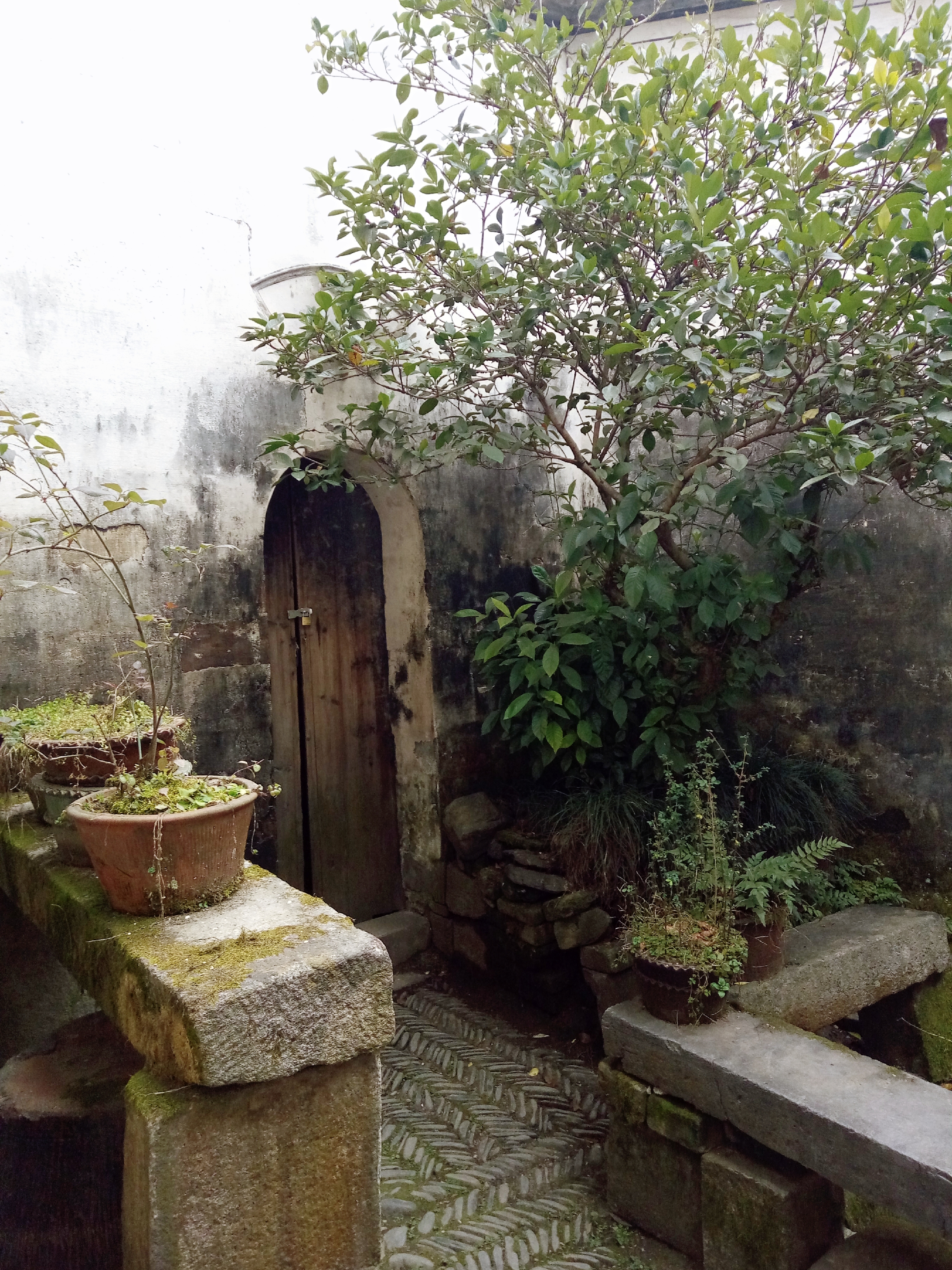 徽派村落宏村风景,山为牛头树为角的意思