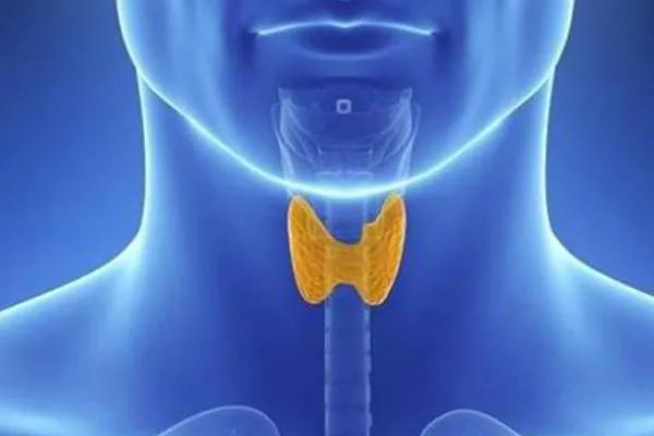 如果我们没有了指甲会怎样,如果我们没有骨头会怎么样