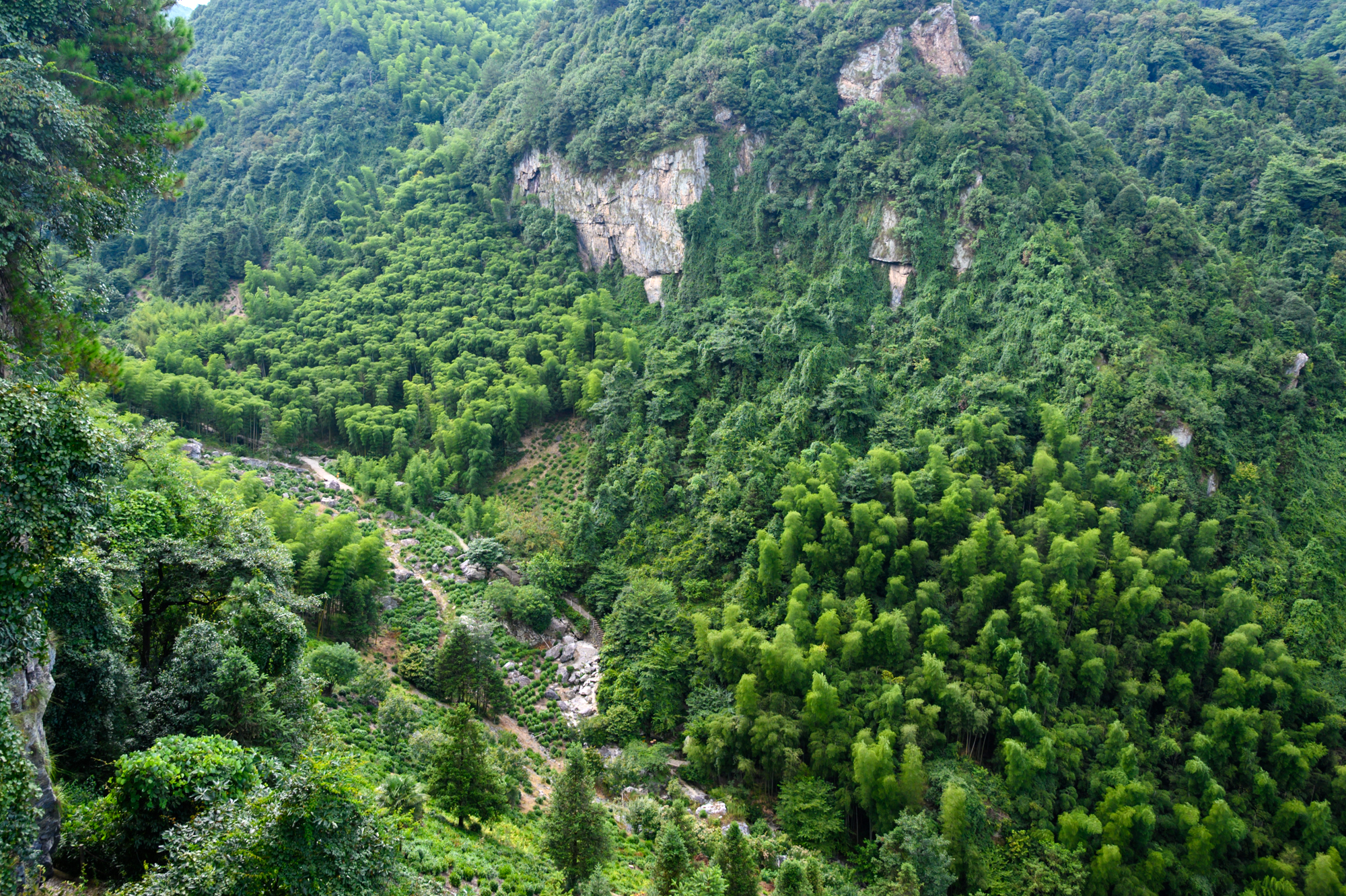 安徽宁国有哪些旅游景点,安徽宁国旅游必去十大景点有哪些