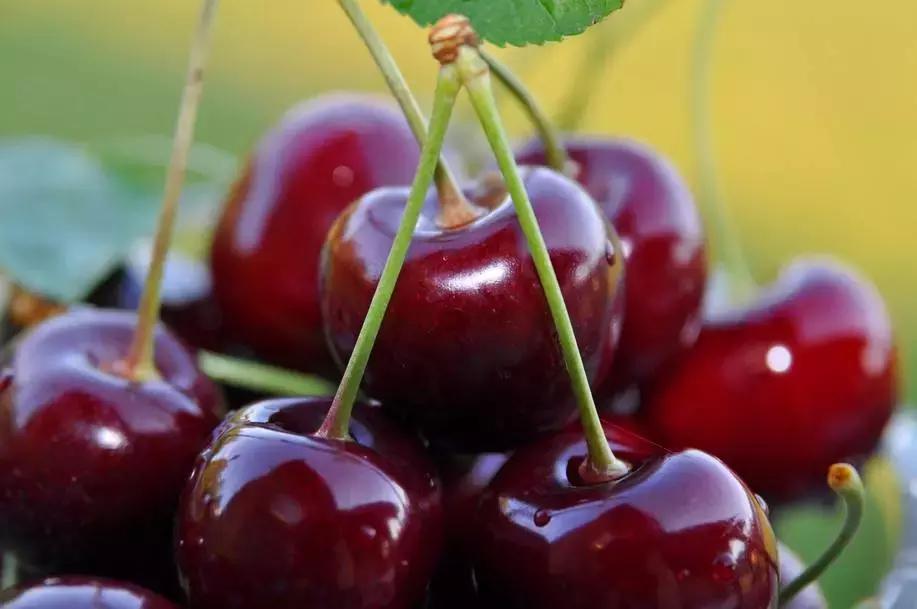 现在国内的水果为什么这么便宜,高端水果为什么有市场