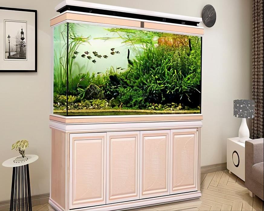 鱼缸玻璃尺寸应该怎么选,鱼缸底柜如何选择尺寸