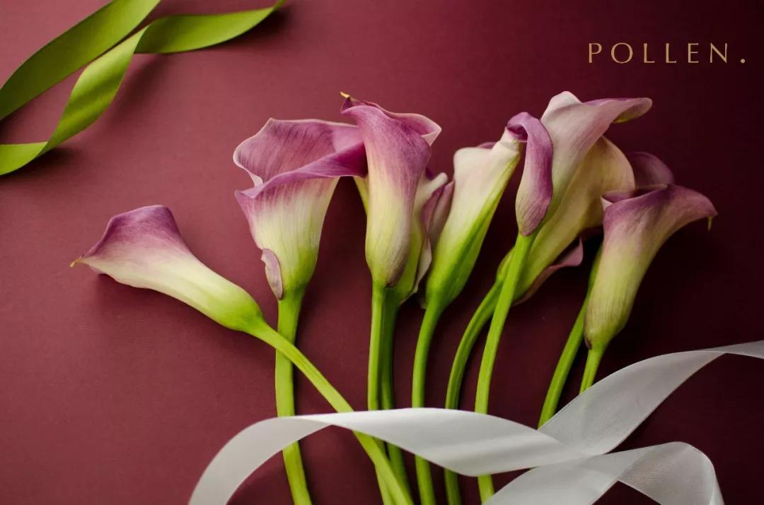 又一个网红圣地诞生,魔都又一座网红新地标