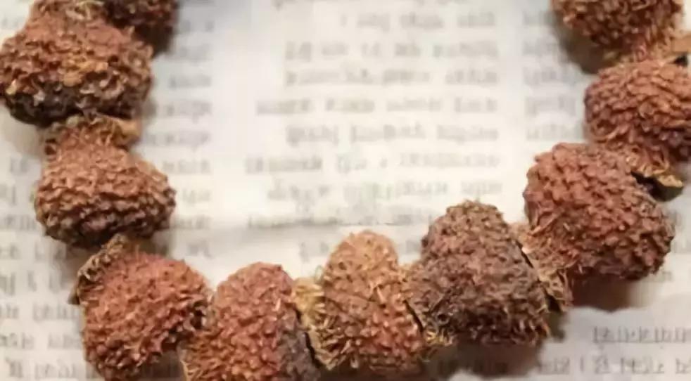 所有菩提手串大展示,菩提手串大全视频