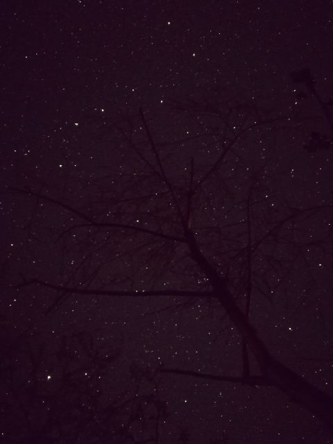 15天8000里,我们刚去名古屋和日本人抢了个五一假期