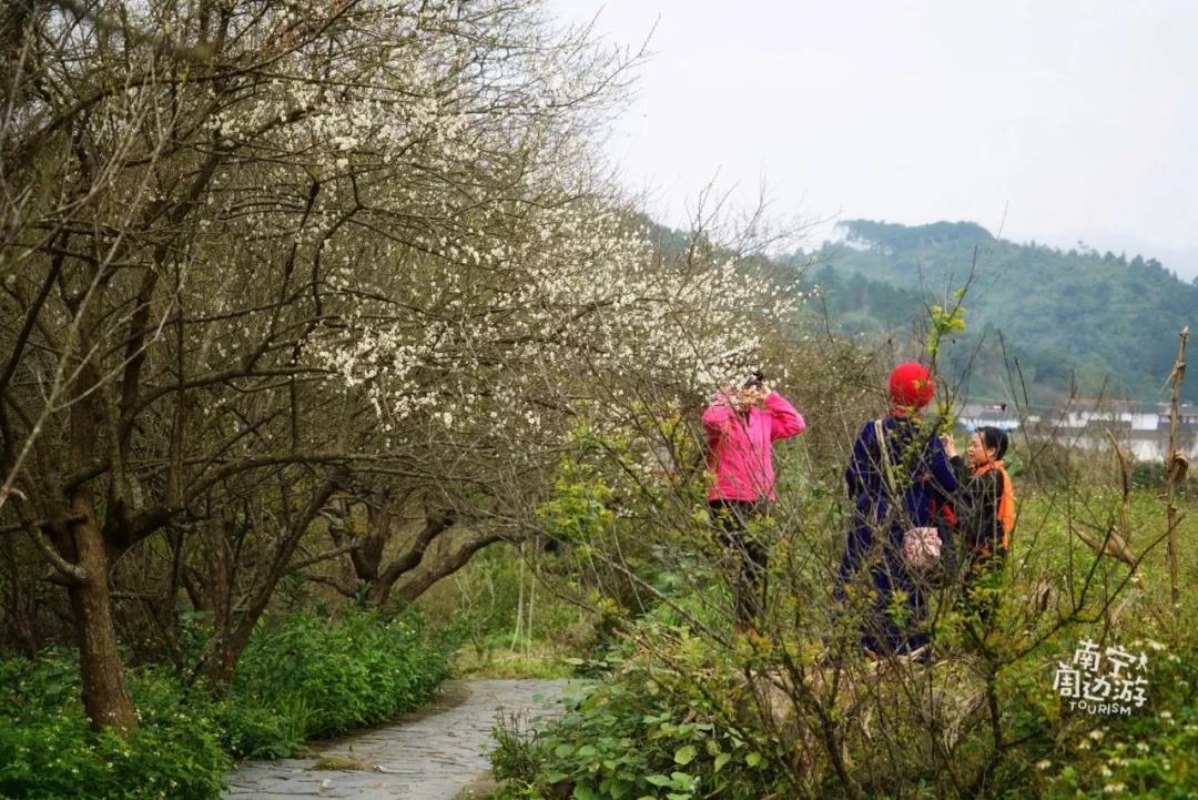 南宁5天旅游攻略最新,南宁一日游有哪些好去处