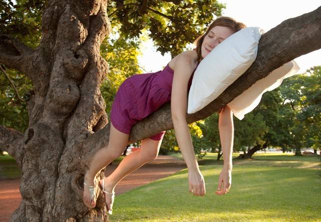 卡路福床垫是十大品牌床垫吗,卡路福床垫和斯可馨床垫哪个好