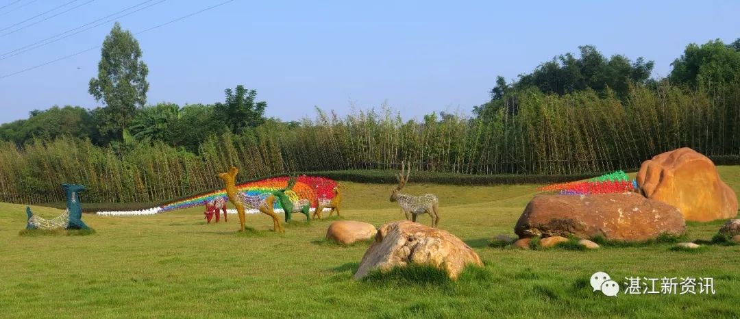 惊艳全国、破世界纪录!455名旗袍佳丽云集湛江遂溪玥珑湖