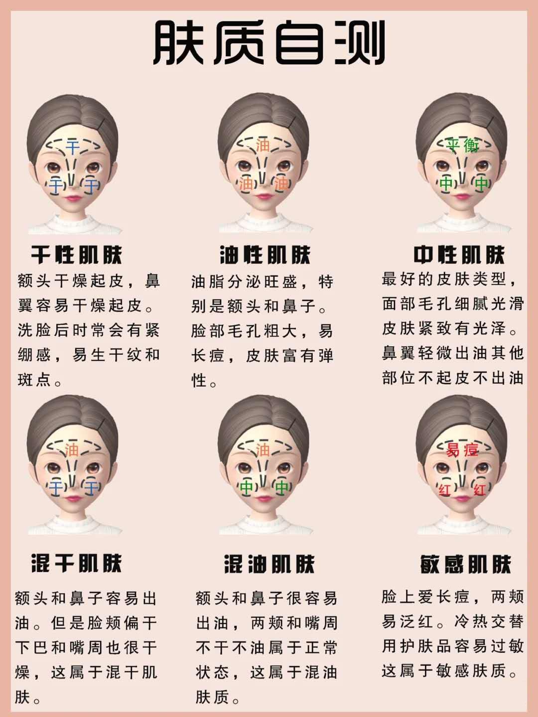 化妆刷介绍功能图片,化妆刷科普大全