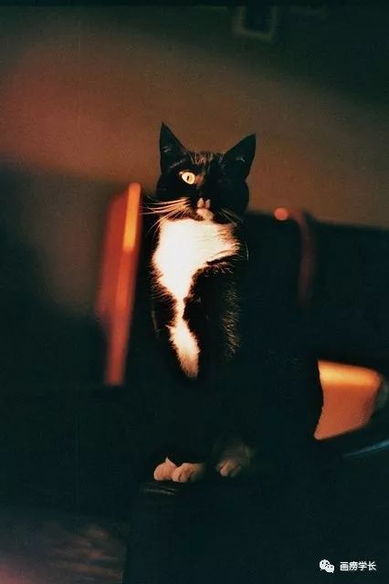 大学摄影专业值得学吗,在美院上学是什么体验