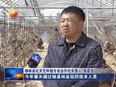 柳林财政所进村入户听民声解民忧,柳林开展入企进村服务工作