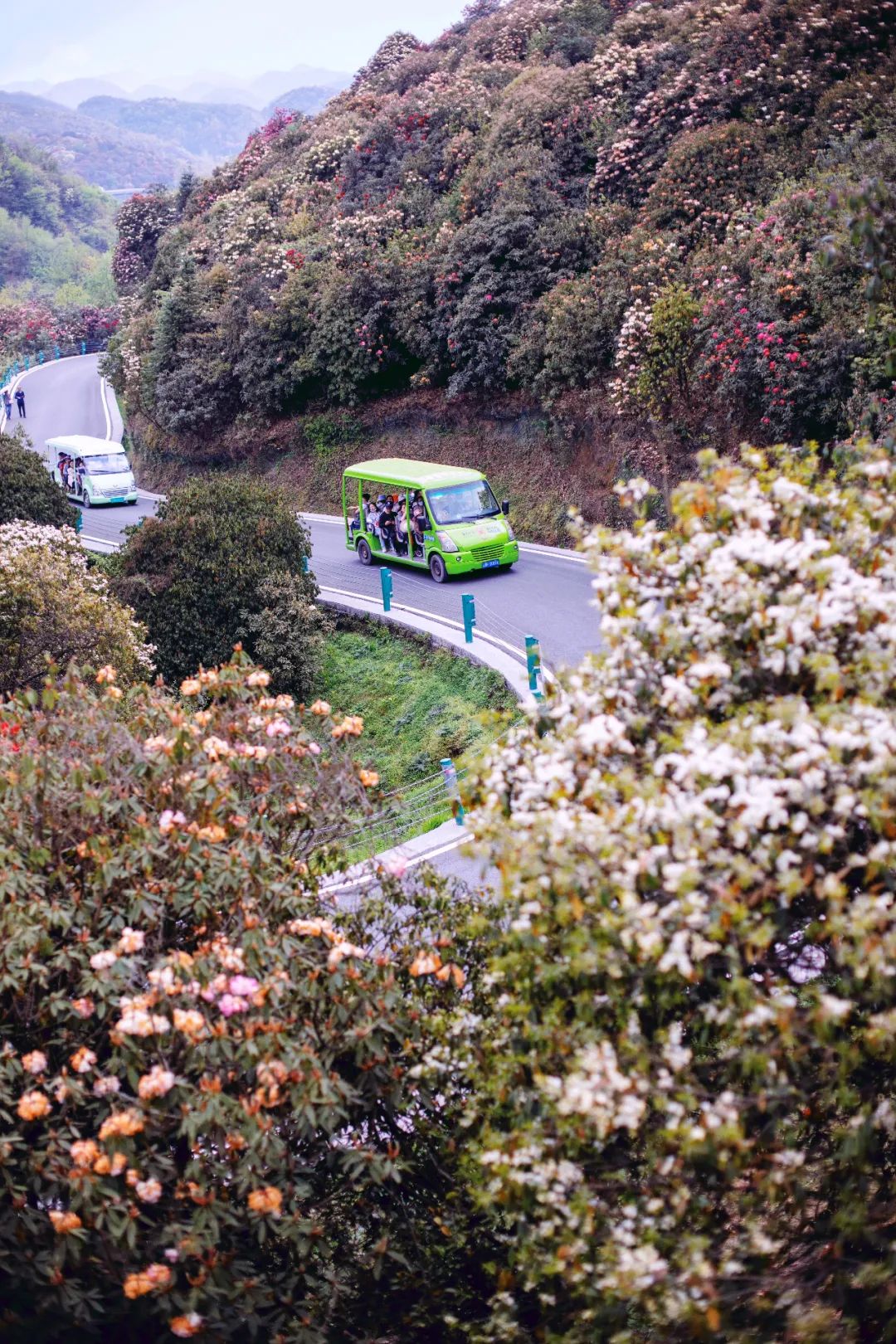 贵州有好多景点,贵州今年比较火的景点