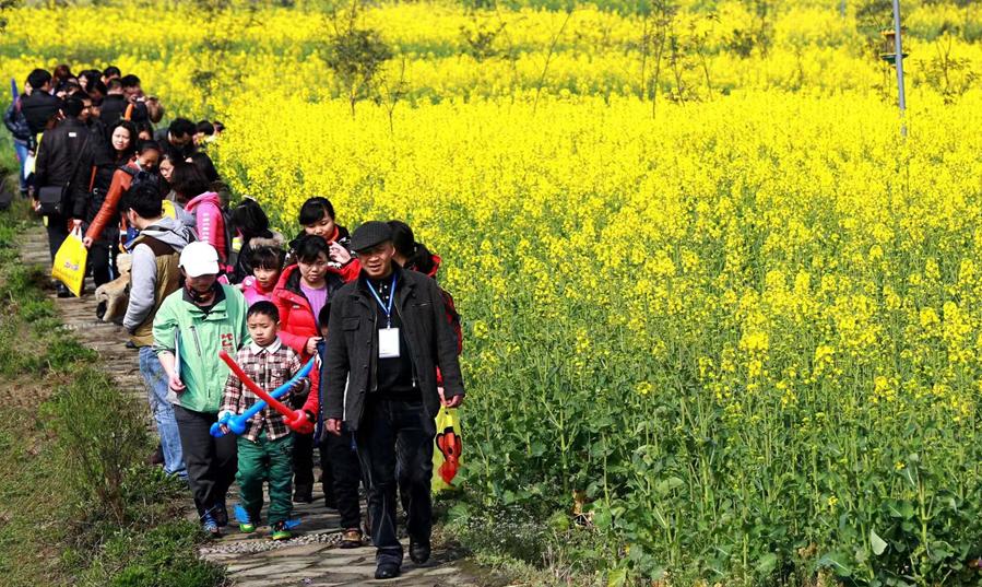 郫都三道堰水乡视频,郫都三道堰田园水乡